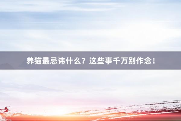 养猫最忌讳什么?这些事千万别作念!